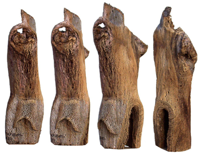 Bild Weiblicher Torso von Uli Aschenborn